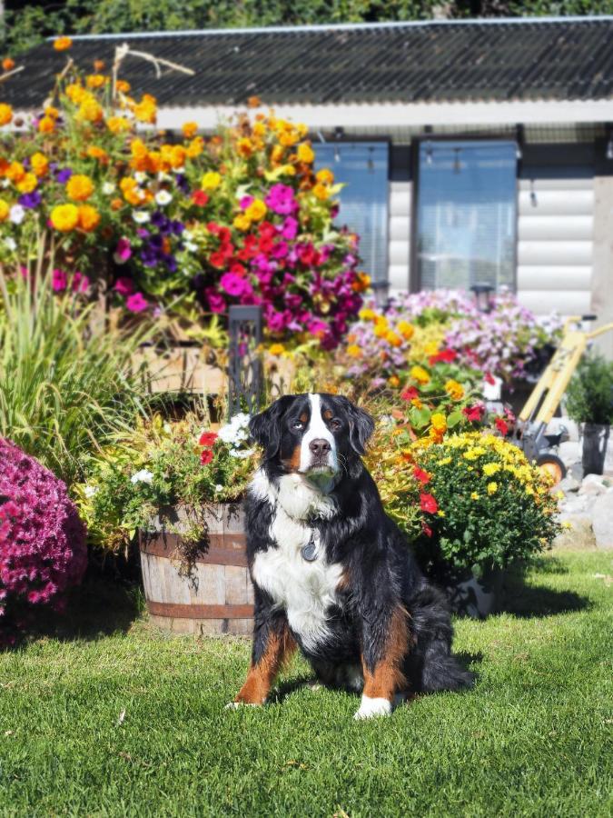 Rayleigh Riverfront Retreat- Peaceful Garden Oasis-25 Minutes To Ski Hill Kamloops Exteriér fotografie